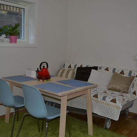 Totally Independent Apartment Near Ntnu,Lerkendal And Center Тронгейм Екстер'єр фото