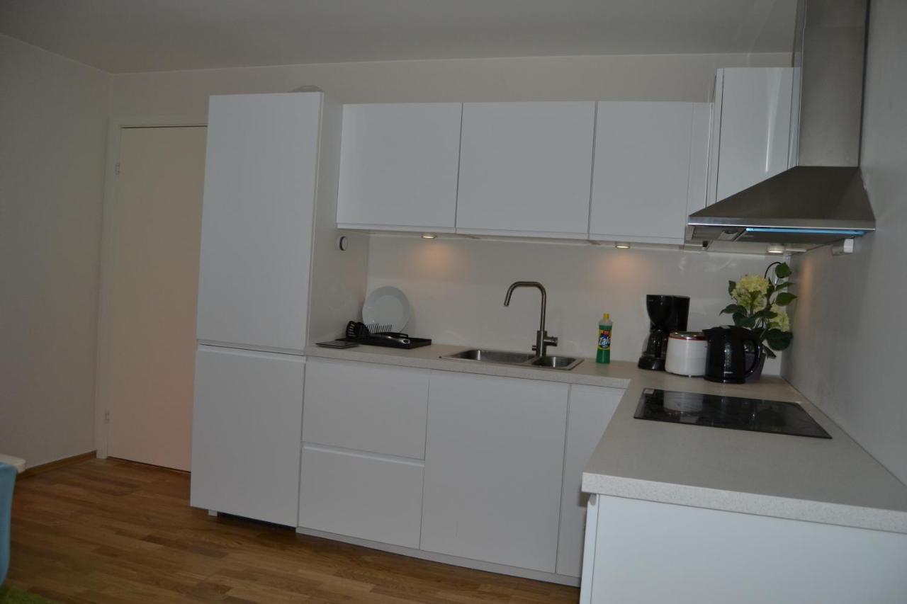 Totally Independent Apartment Near Ntnu,Lerkendal And Center Тронгейм Екстер'єр фото
